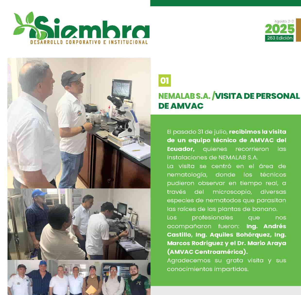 Boletín 263 — Agosto 2/2 - 2025