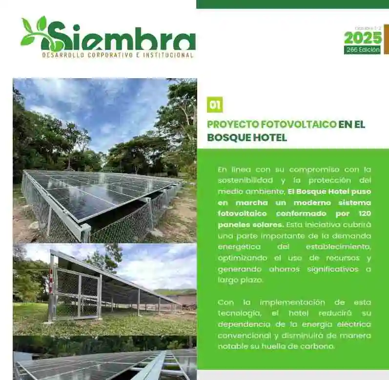 Boletín Octubre 1/2 - 2025 LAPAVIC S.A.