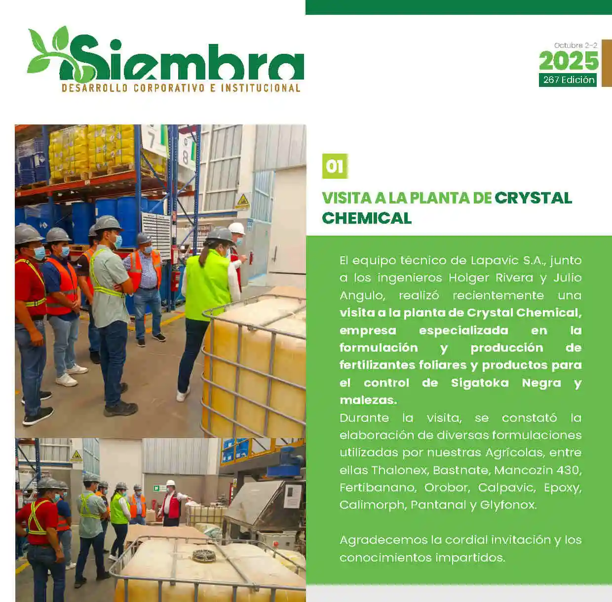 Boletín 267 — Octubre 1/2 - 2025