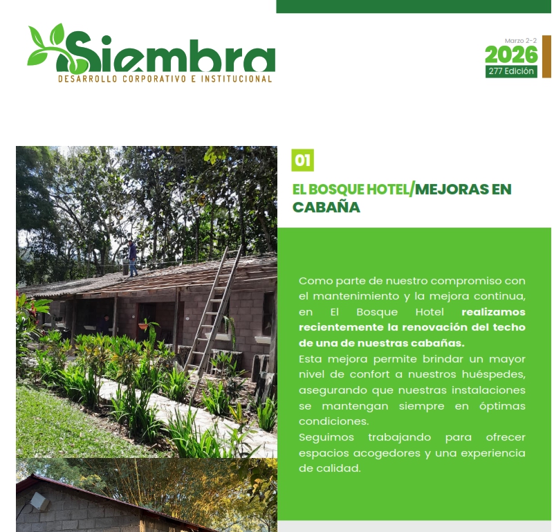 Boletín Marzo 1/2 - 2026 LAPAVIC S.A.