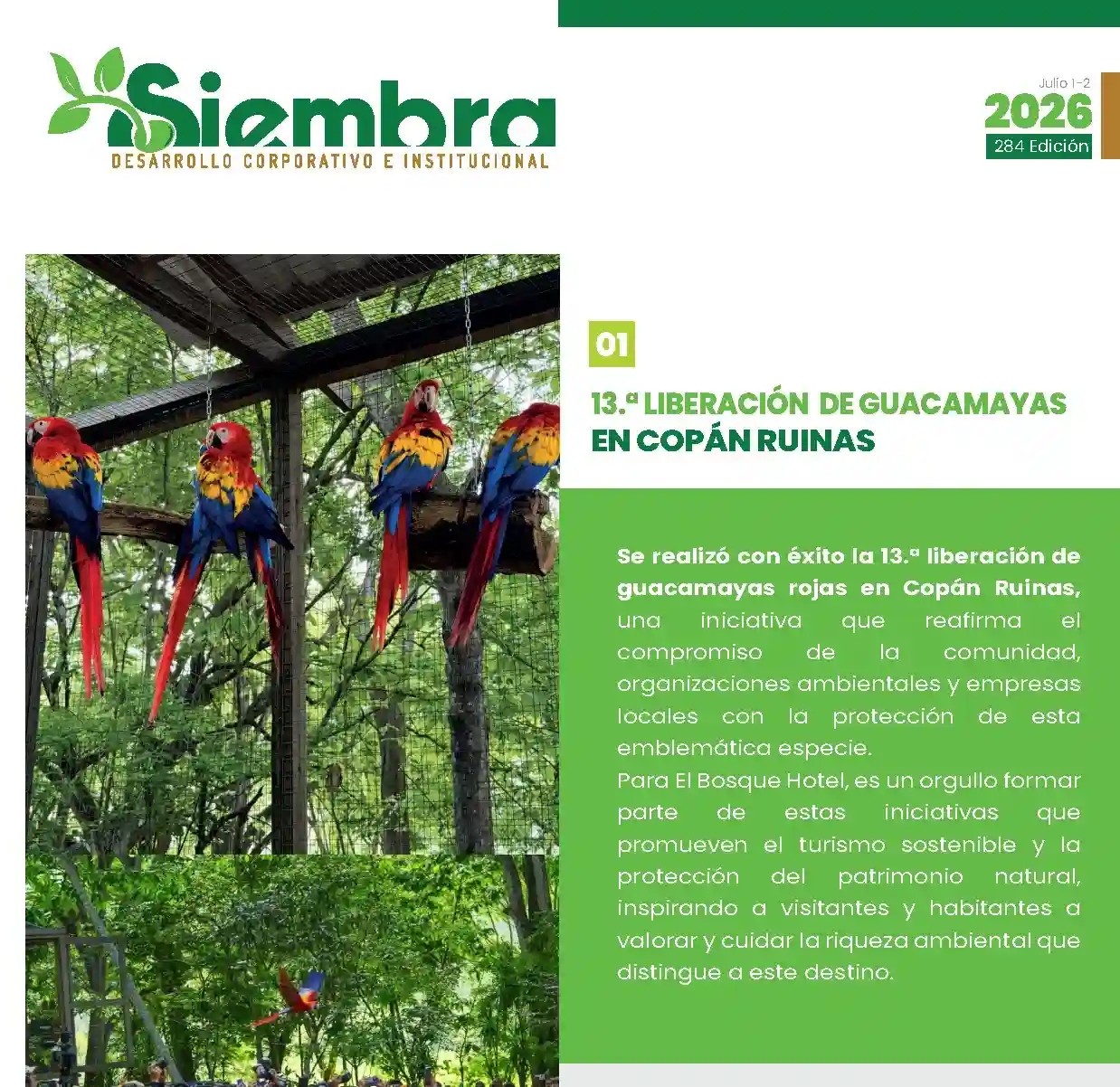Boletín Julio 1/2 - 2026 LAPAVIC S.A.